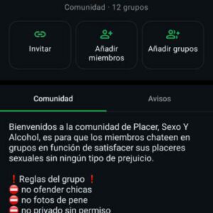 Comunidad de WhatsApp Placer Sexo Y Alcohol donde las chicas ofrecen citas y masejes